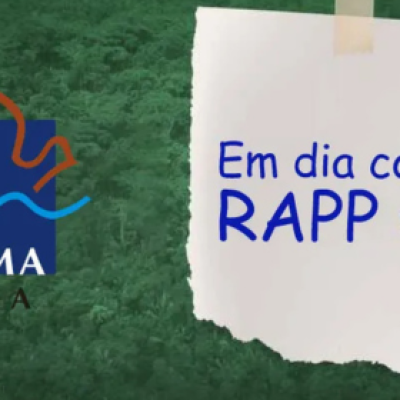 CONSULTORIA PARA O rapp IBAMA